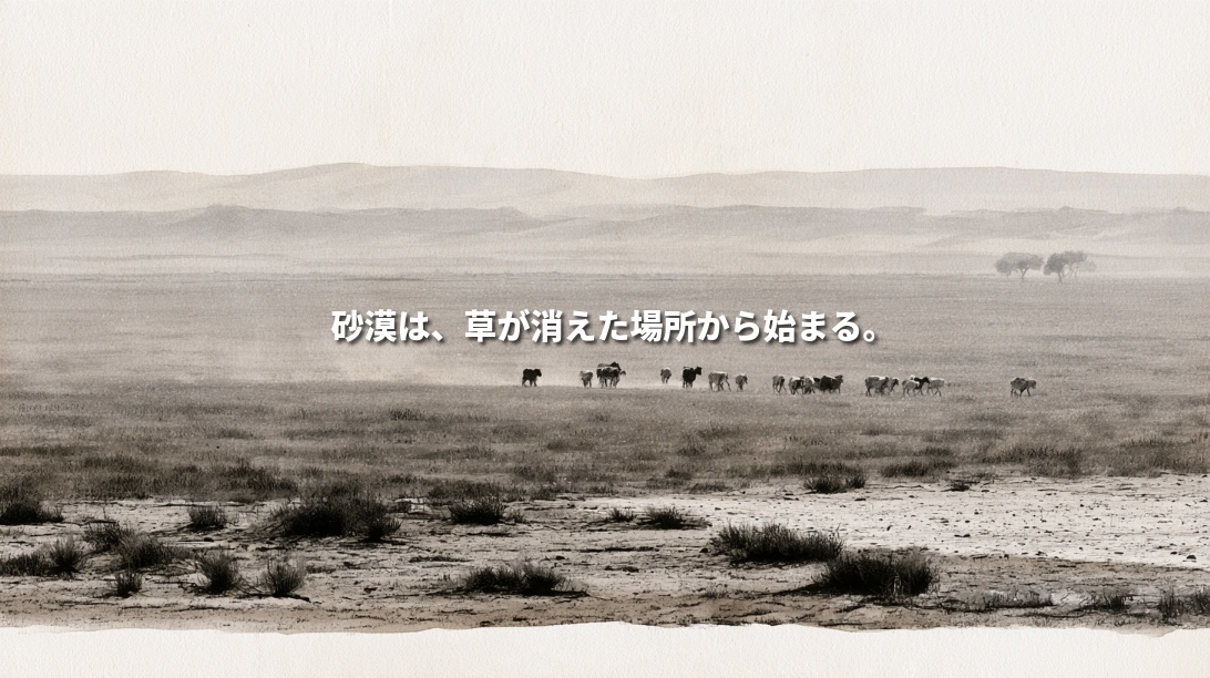 Illustration of livestock grazing among sparse grasses and shrubs on an Algerian steppe, with dry soil in the foreground and distant hills.