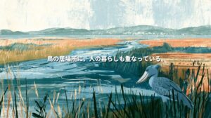 Illustration of a Ugandan wetland with a shoebill among reeds, a winding waterway, and farmers tending nearby fields. Japanese text reads: “Bird habitat and human livelihoods share the same space.”