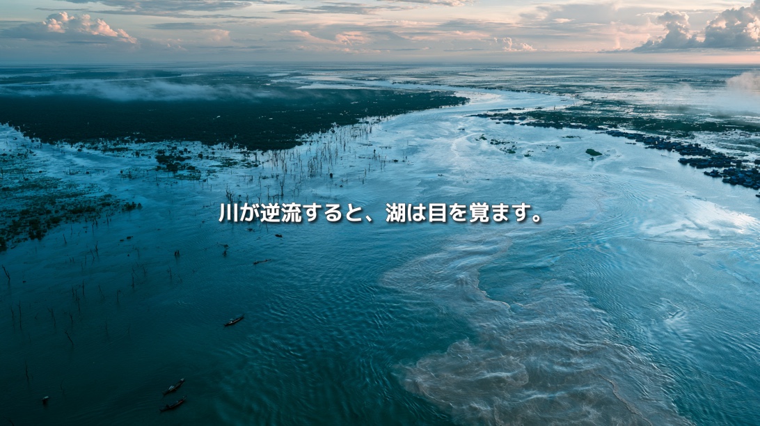 川の水が浸水林へ広がるトンレサップ湖の俯瞰風景。「川が逆流すると、湖は目を覚ます。」の文字