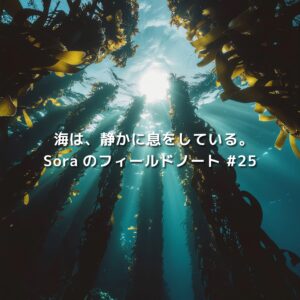 下田の海中に広がる海藻の森。太陽光が差し込み、ブルーカーボンを担う藻場の静かな風景