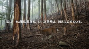 森の下草が失われ、樹皮が剥がれた山の斜面に、鹿が立っている。シカの食害による森林環境の変化を表現したアイキャッチ画像。