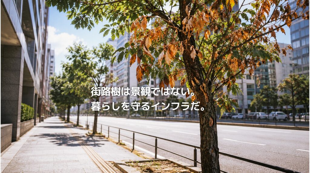 猛暑の都市で、アスファルト沿いの街路樹の葉が茶色く傷みはじめている。街路樹が都市の暑さにさらされながら、暮らしを支えるインフラであることを表現したアイキャッチ画像。