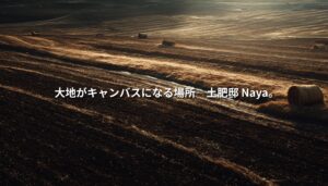 刈り取られた畑に夕日が差し込み、干し草ロールが点在する農村風景。大地の質感と畝のラインが強調された広角ショット。