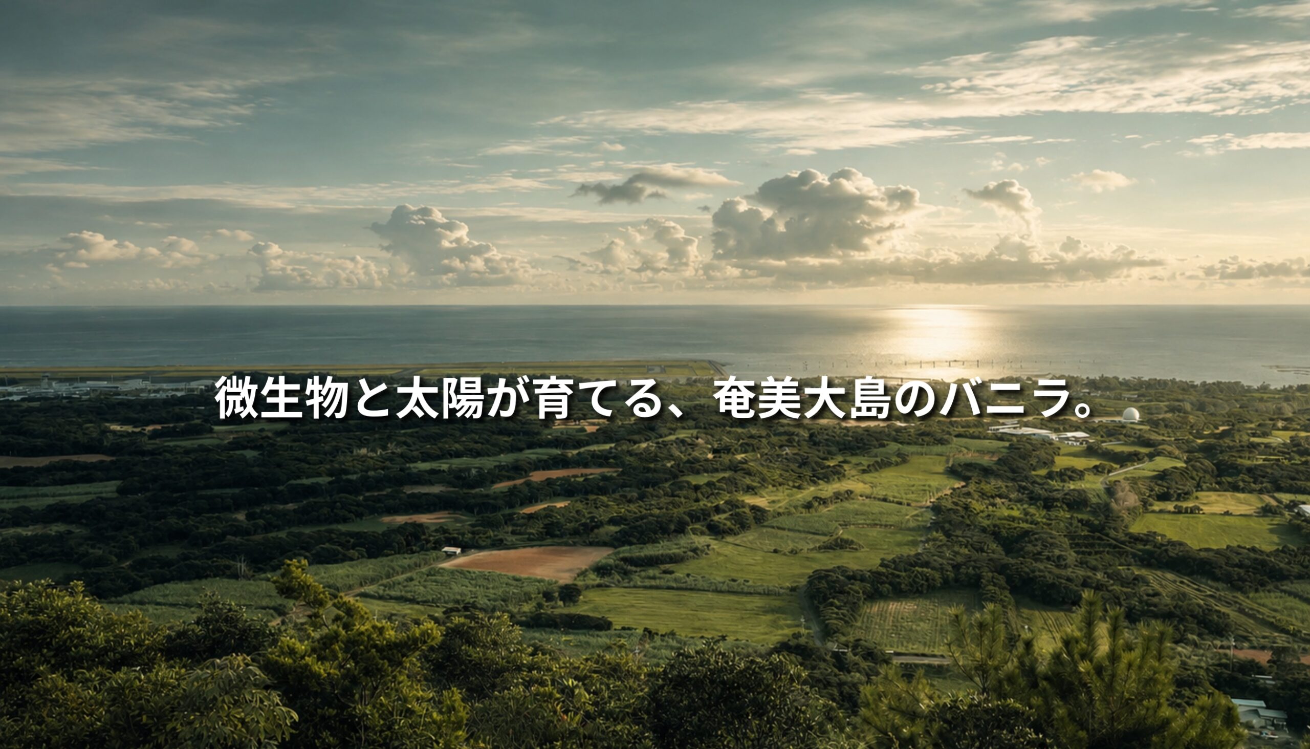 奄美大島の高台から見下ろす広大な自然風景。海へと続く緑豊かな農地と森の上に、「微生物と太陽が育てる、奄美大島のバニラ。」というコピーが重なるNEOTERRAIN風ビジュアル。