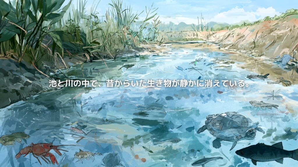外来種が広がる池や川で、在来種が静かに姿を消していく水辺の風景
