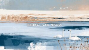 Artistic illustration of two swans on Sakata Lagoon in Niigata, with withered lotus stems, reeds, and surrounding farmland. Japanese text reads, “Swans return. The lotus does not.”