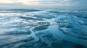干潮時の有明海に広がる干潟と複雑に枝分かれした潮汐水路