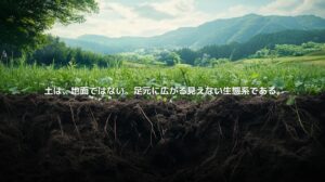 里山の草地と土の断面を通して、土の中に広がる見えない生態系を表現した風景