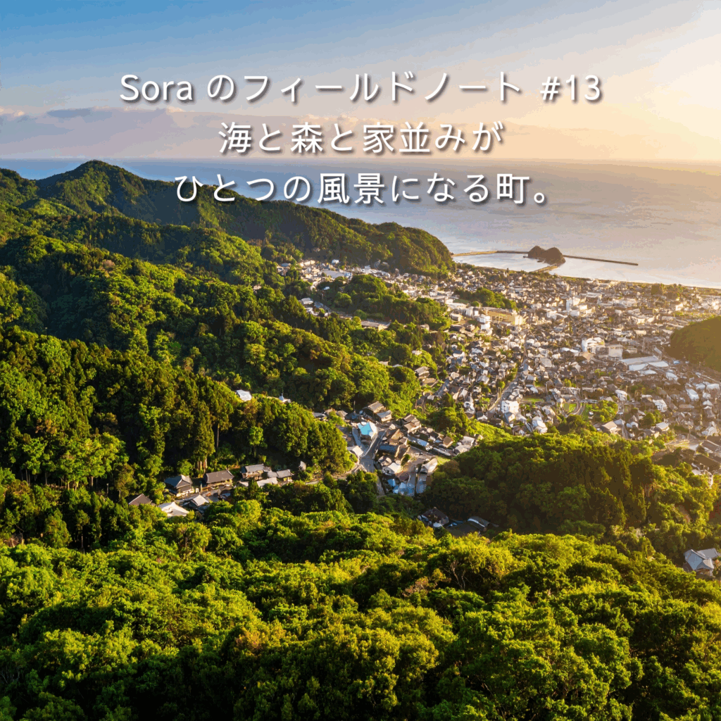 海と森と家並みがひとつの風景になる真鶴半島の俯瞰。低い屋根の町並みと入り江──住民合意の「美のルール」で守られた景観