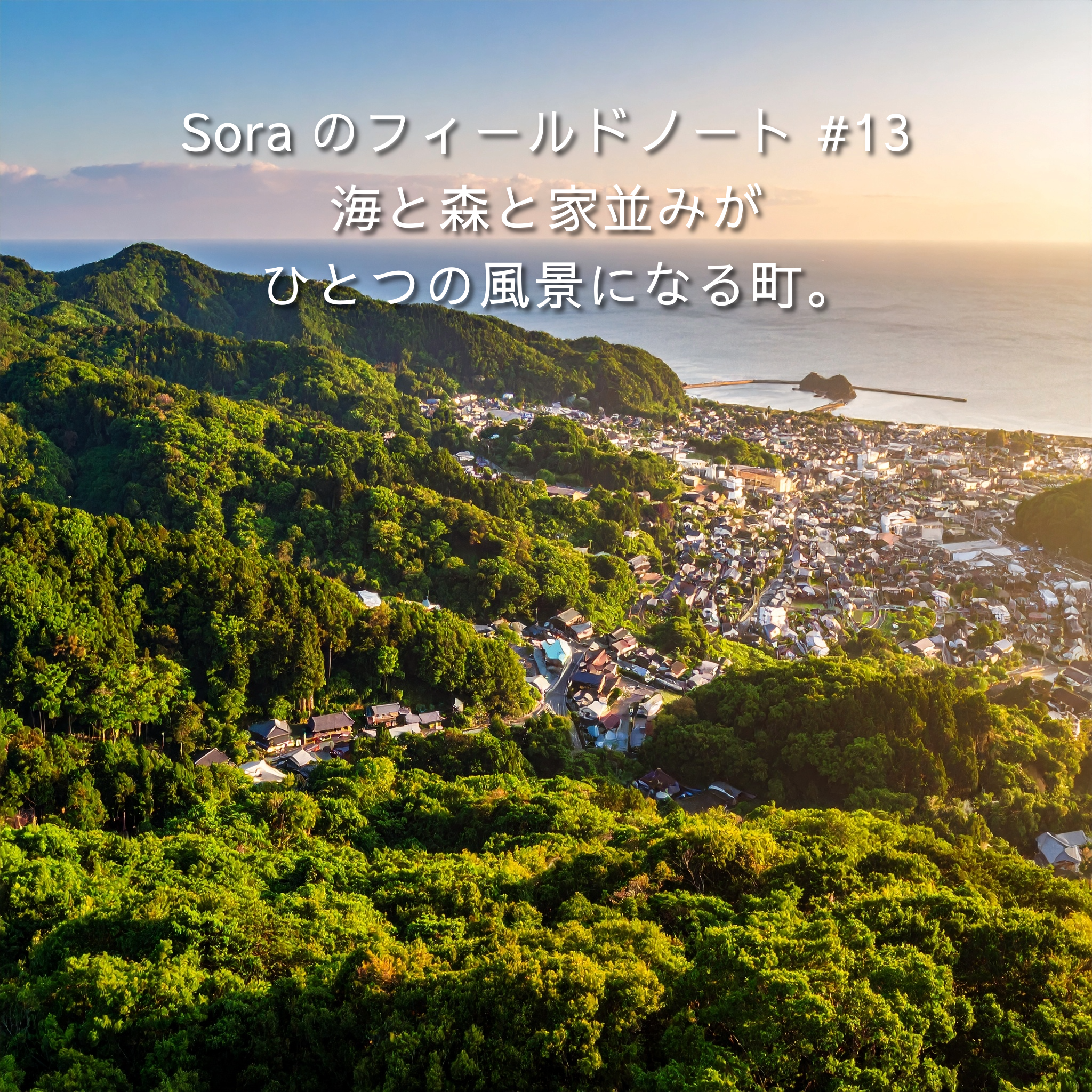 海と森と家並みがひとつの風景になる真鶴半島の俯瞰。低い屋根の町並みと入り江──住民合意の「美のルール」で守られた景観