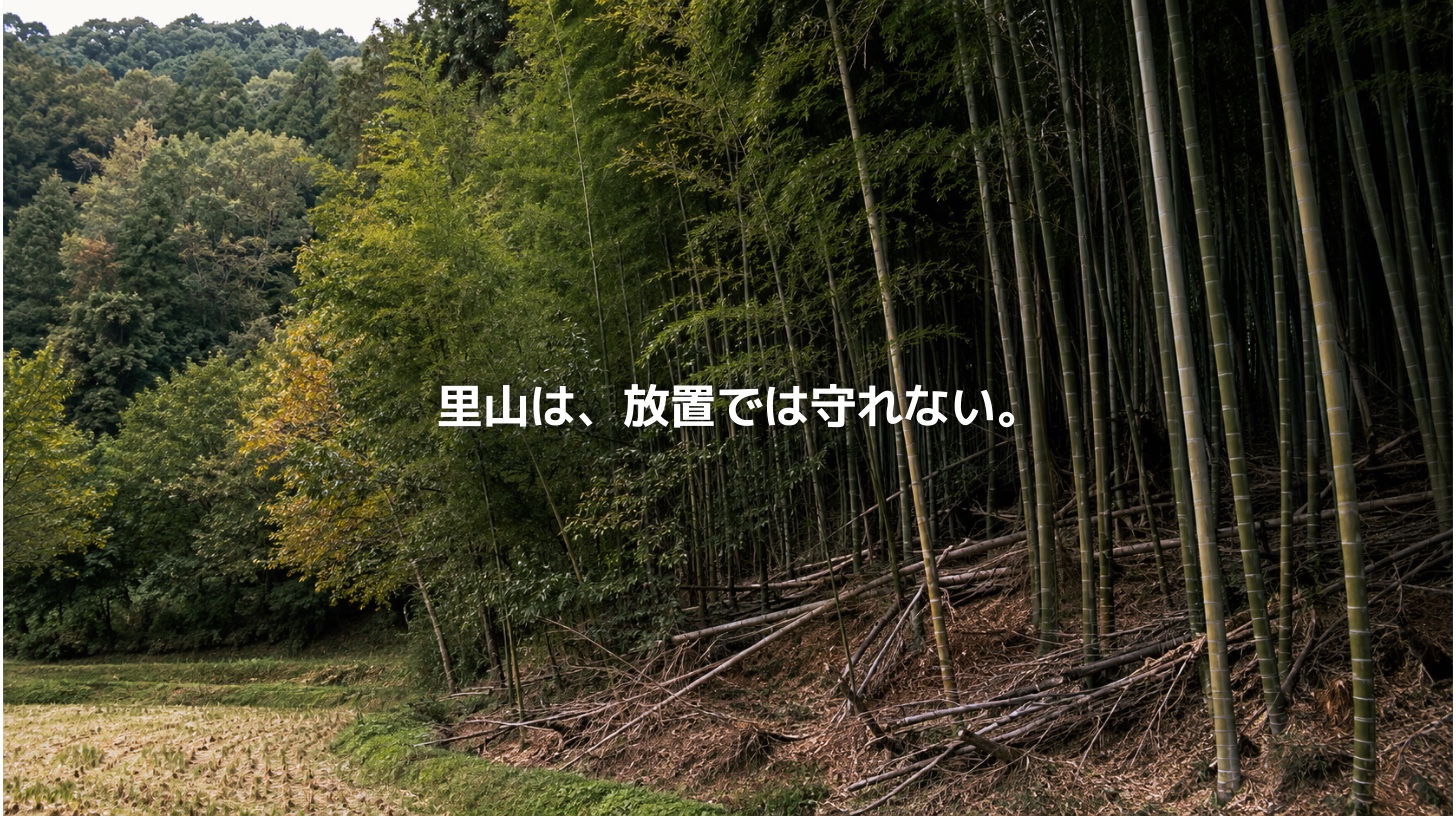 管理されずに密生した竹林が、周囲の雑木林や農地へ広がっている。放置竹林によって里山の環境が変化していく様子を表現したアイキャッチ画像。
