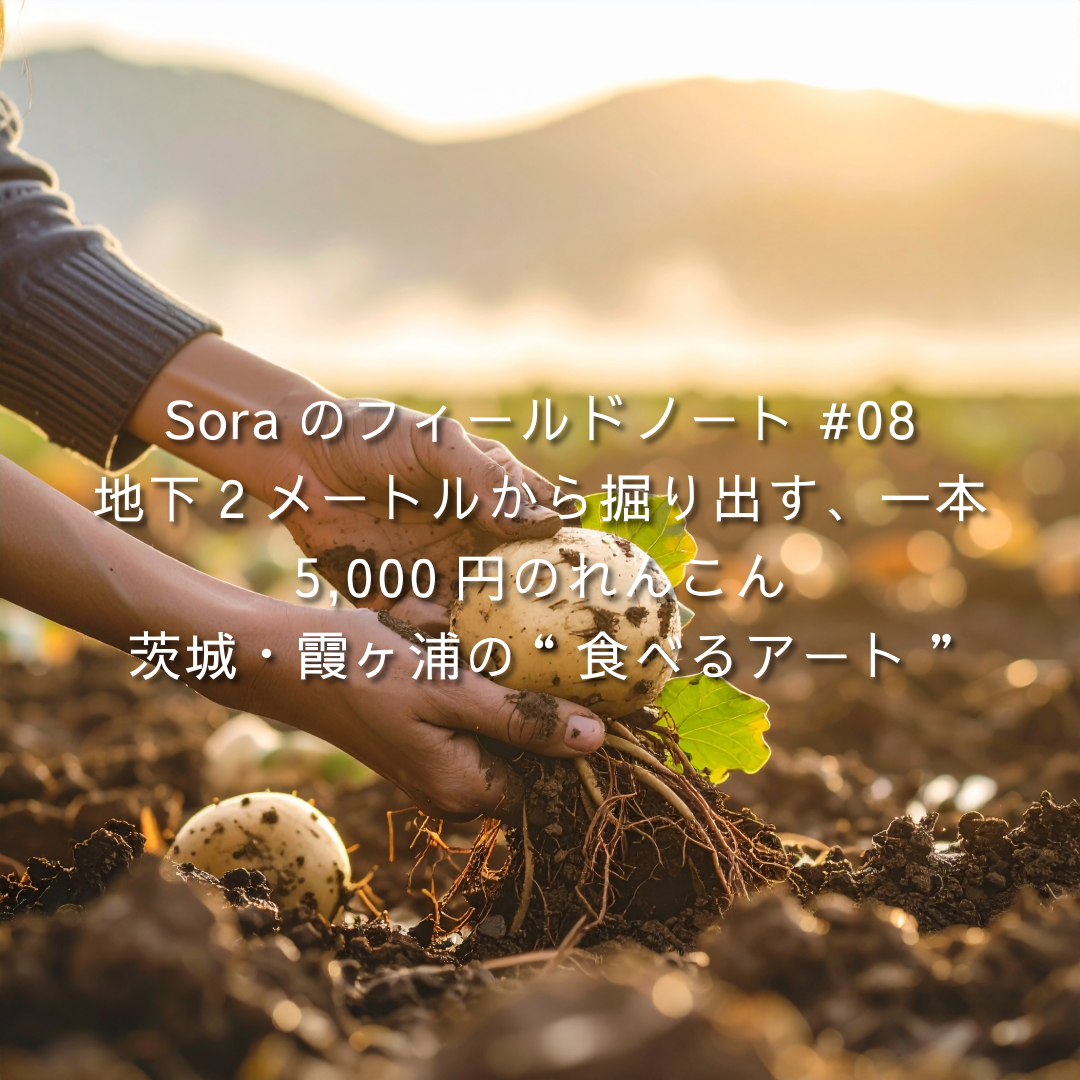 収穫したれんこんを土中から手で掘り起こす様子。画像上に「Soraのフィールドノート #08|地下2メートルから掘り出す、一本5,000円のれんこん──茨城・霞ヶ浦の“食べるアート”」のテキスト。